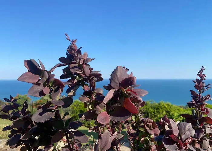 Golf Villa Baltschik