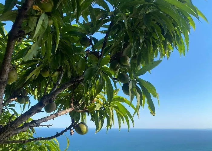 Villa Golf Baltschik