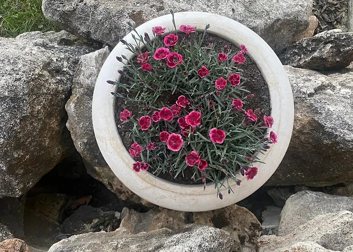 Villa Golf Baltschik